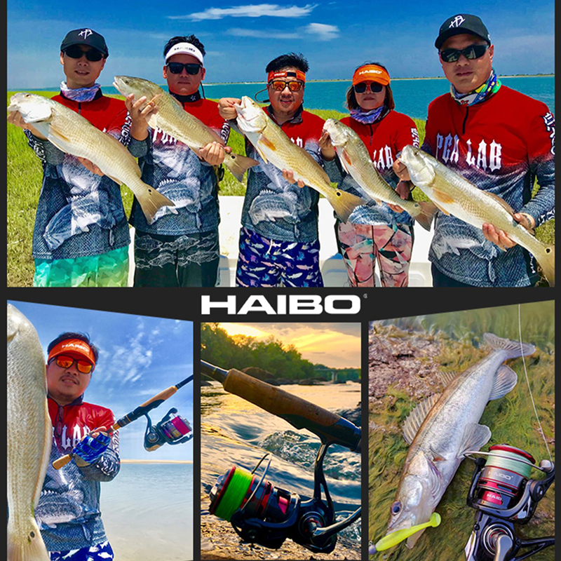 Haibo SMART LFC Spinning Reel  - Developing Tank Reel avis et prix